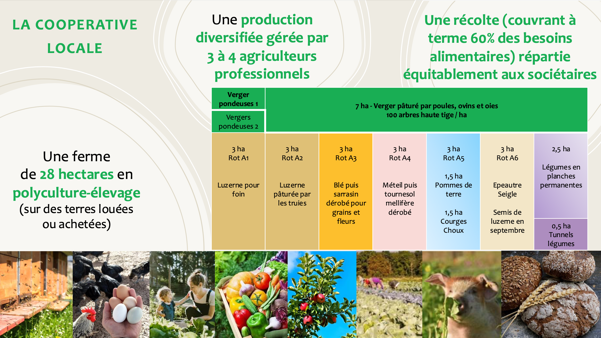 la coopérative locale Lively Farming